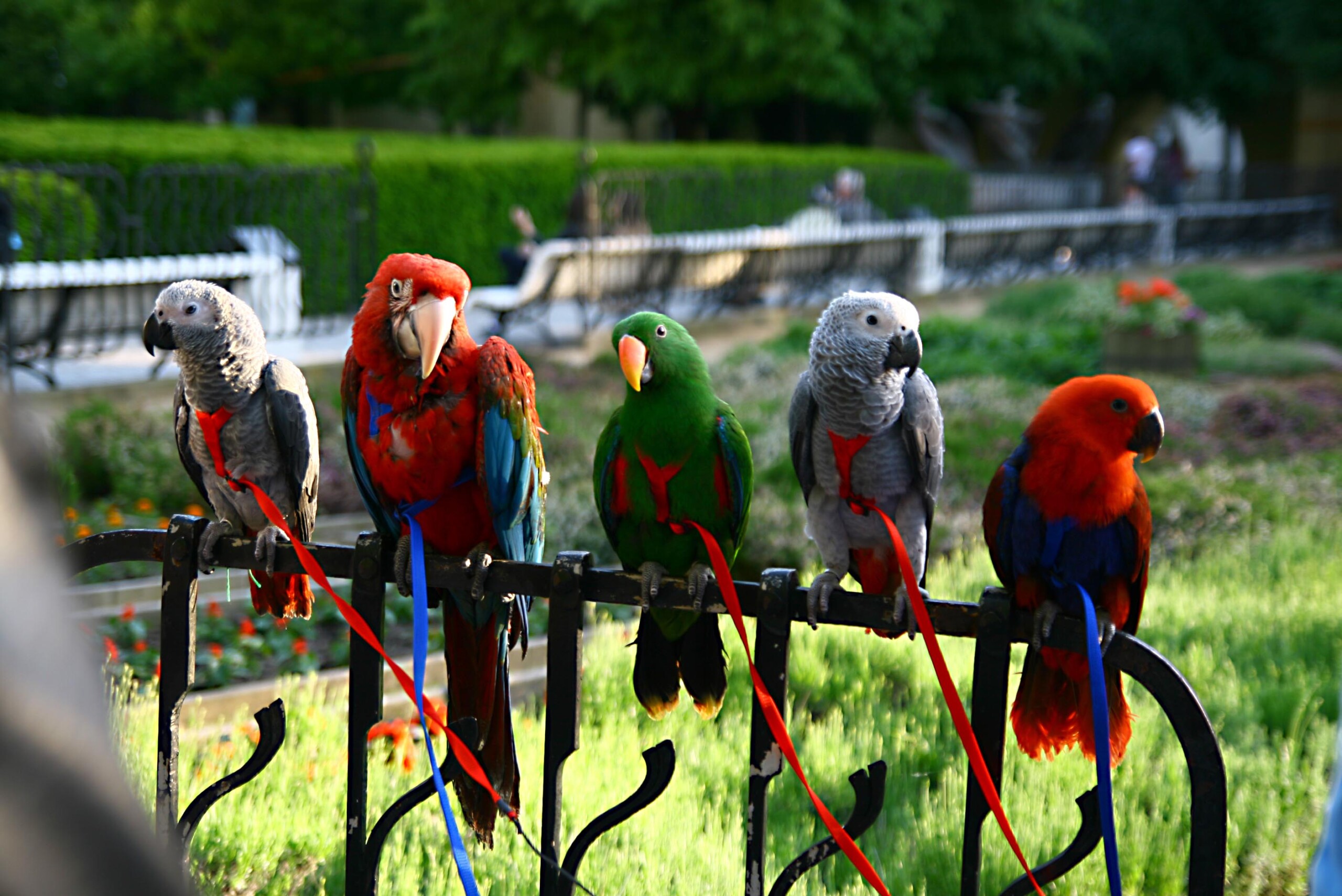 Familienausflug zum Vogelpark Marlow vom Familienresort Fleesensee
