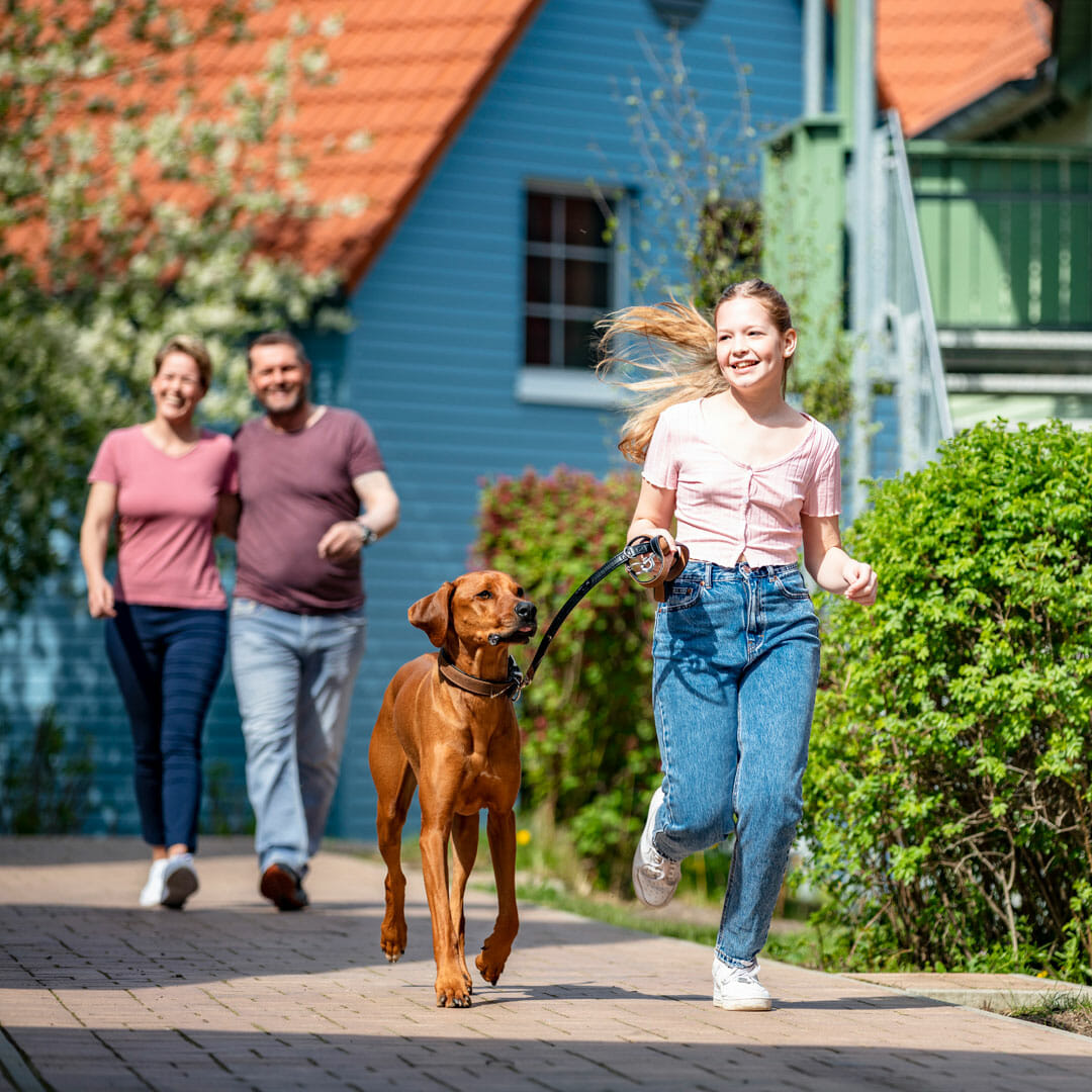 Urlaub mit Hund und Kind in Ferienwohnung am Fleesensee