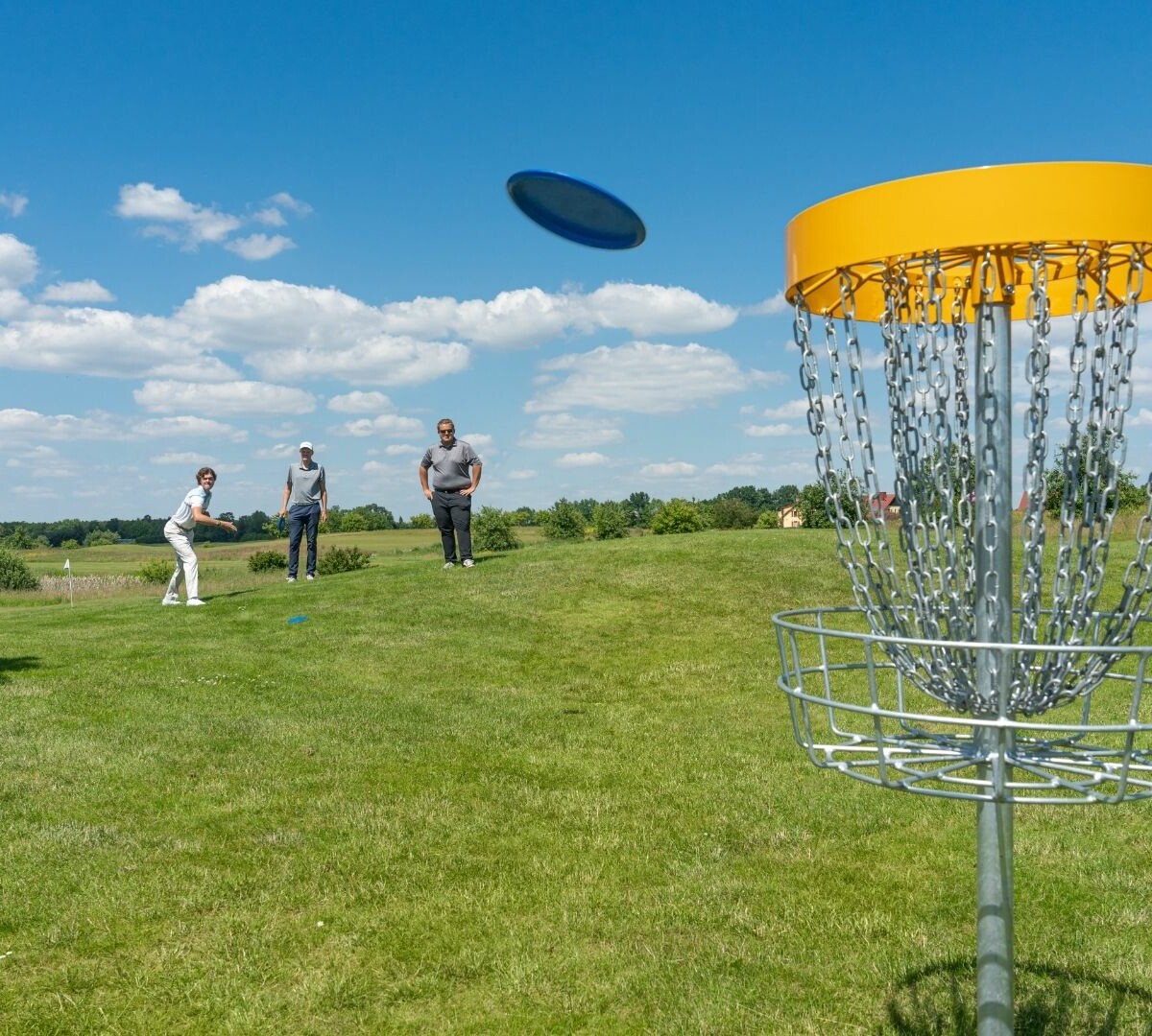 Gruppe spielt Discgolf im Sommer am Fleesensee