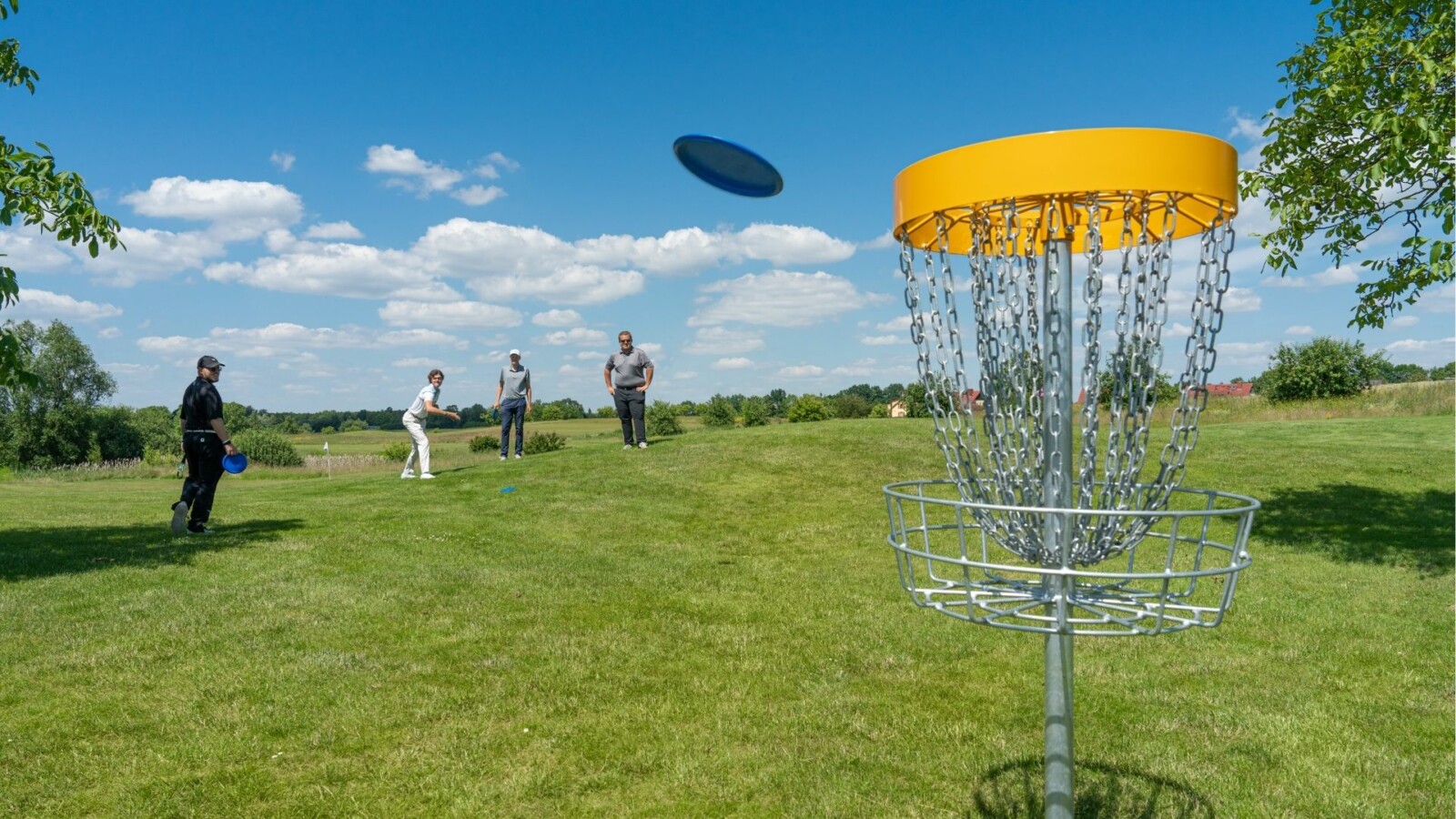 Gruppe spielt Discgolf im Sommer am Fleesensee